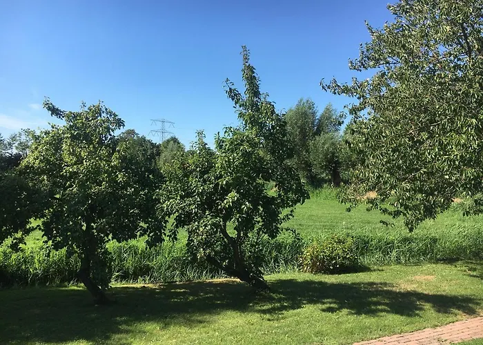 Mooi Appartement In Een Prachtige Fiets-Wandelomgeving